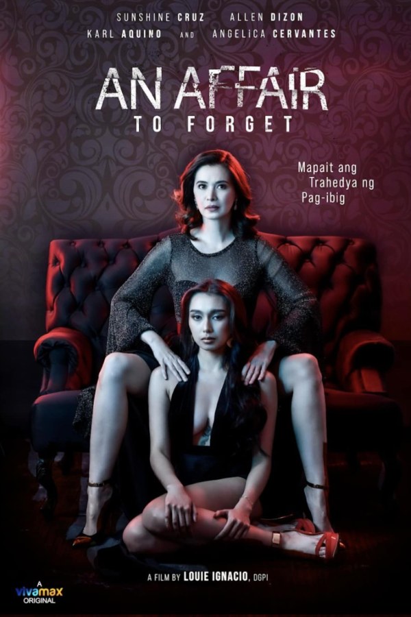 An Affair to Forget